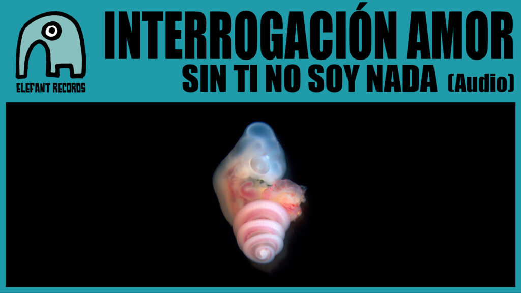 Imagen destacada de video: Sin ti no soy nada [Audio]